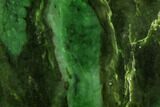 Polished Canadian Jade (Nephrite) Slab - British Colombia #112737-1